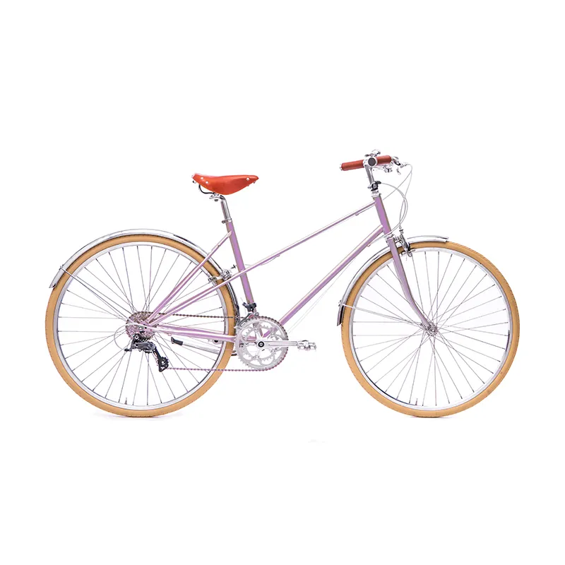 Urban Road Bike